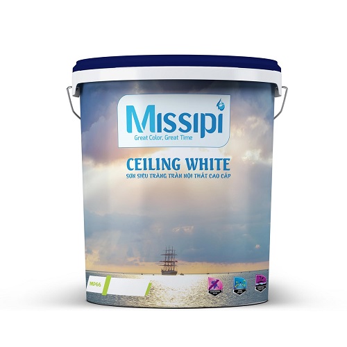 Ảnh danh mục sản phẩm